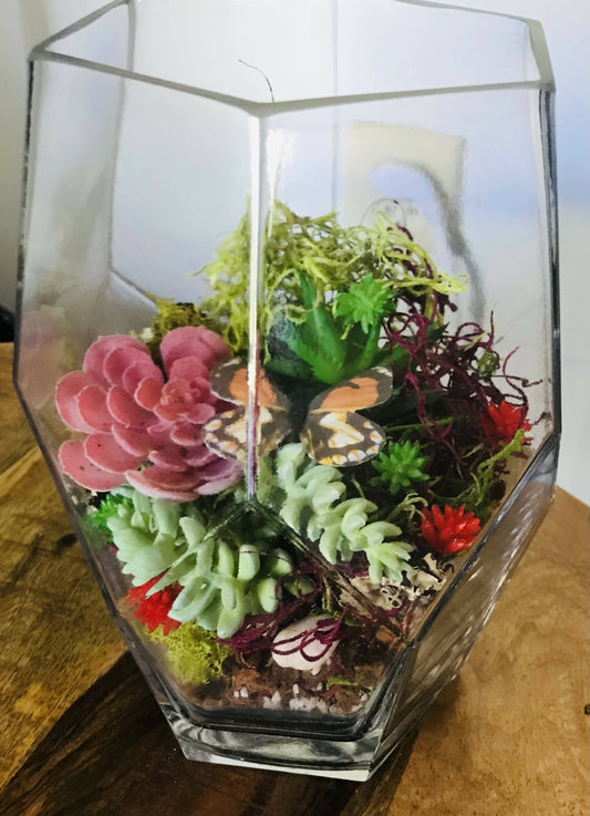 Terrarium